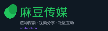 麻豆传媒